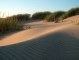untouched dunes
